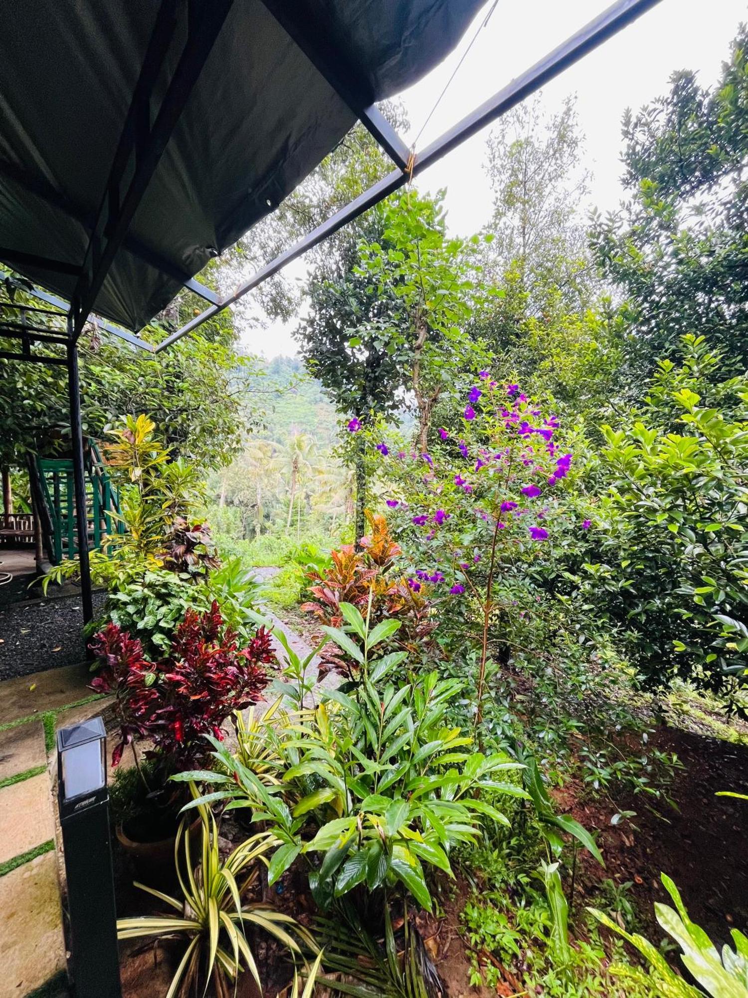 Fab Valley Homestay 蒙纳 外观 照片